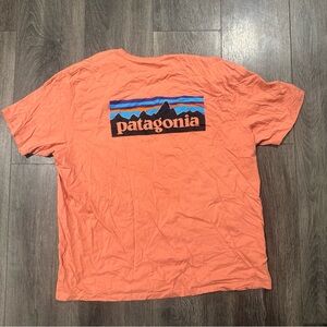 Patagonia Men's Coral Tee with Mountain Logo